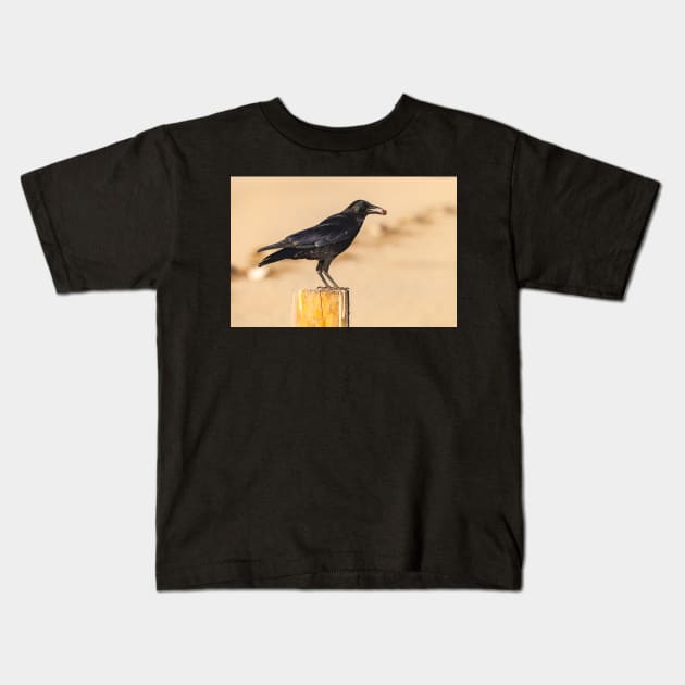 American Crow Kids T-Shirt by jvnimages